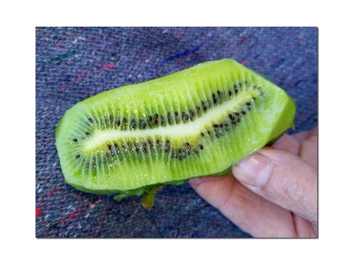 Image No.31-Farmhouse for sale