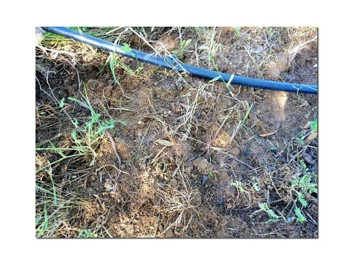 Image No.32-Farmhouse for sale