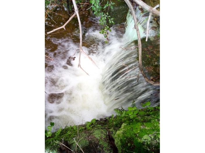 Image No.4-Farmhouse for sale