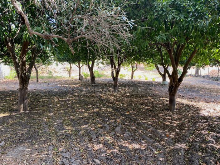 Image No.12-Maison de 10 chambres à vendre à Fundão