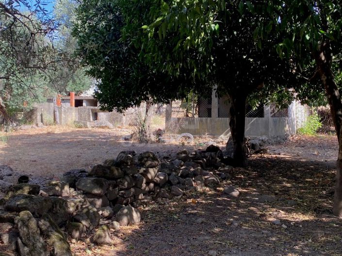 Image No.13-Maison de 10 chambres à vendre à Fundão