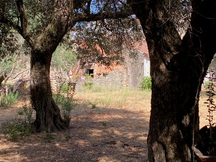 Image No.14-Maison de 10 chambres à vendre à Fundão