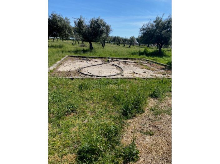 Image No.15-Maison de 10 chambres à vendre à Fundão