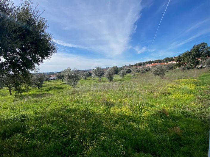 Image No.24-Maison de 10 chambres à vendre à Fundão