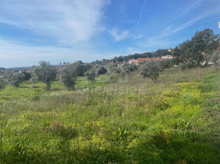 Image No.25-Maison de 10 chambres à vendre à Fundão
