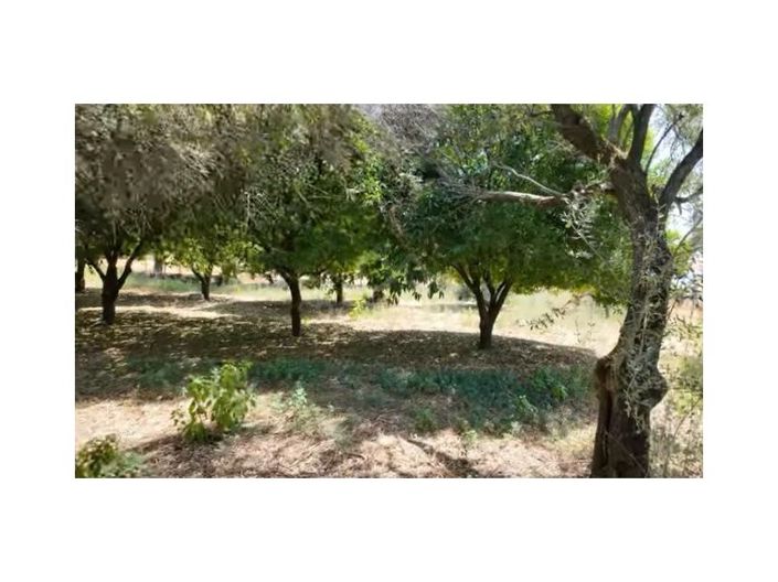 Image No.28-Maison de 10 chambres à vendre à Fundão