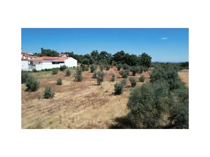 Image No.29-Maison de 10 chambres à vendre à Fundão