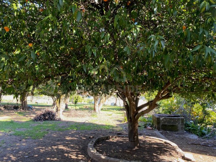 Image No.5-Maison de 10 chambres à vendre à Fundão