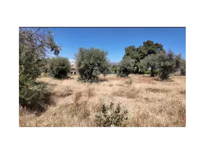 Image No.30-Maison de 10 chambres à vendre à Fundão