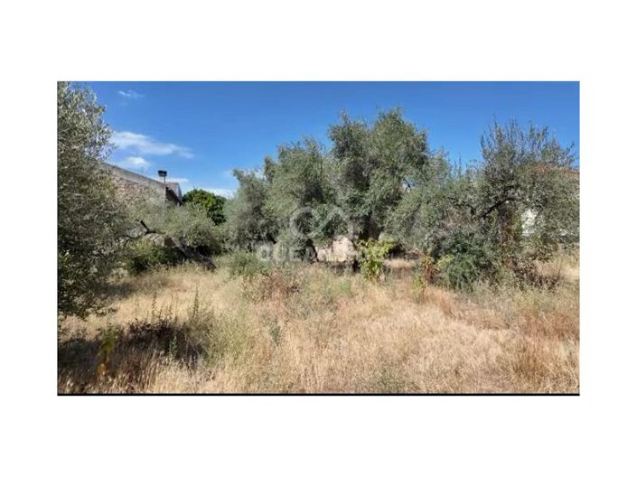 Image No.32-Maison de 10 chambres à vendre à Fundão