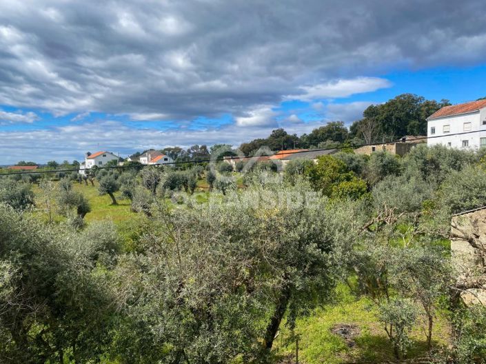Image No.53-Maison de 3 chambres à vendre à Fundão