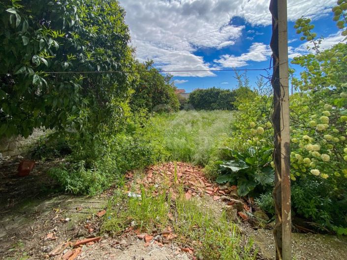 Image No.64-Maison de 3 chambres à vendre à Fundão