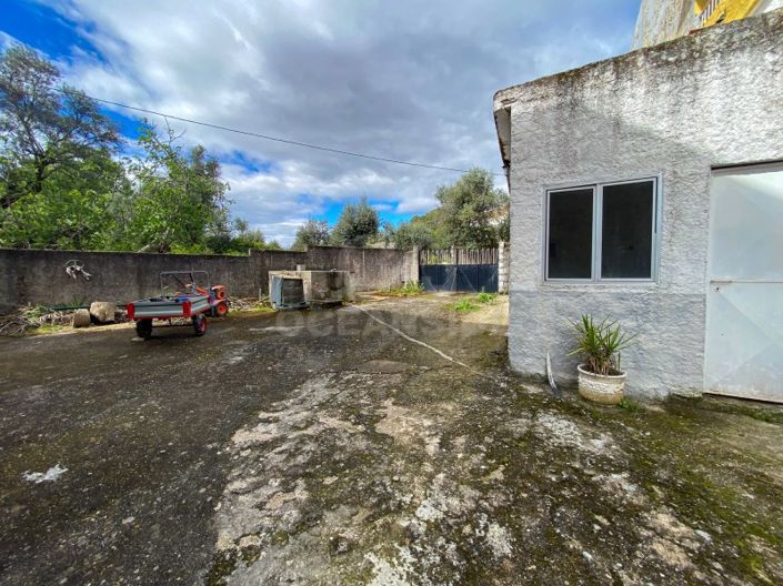 Image No.69-Maison de 3 chambres à vendre à Fundão