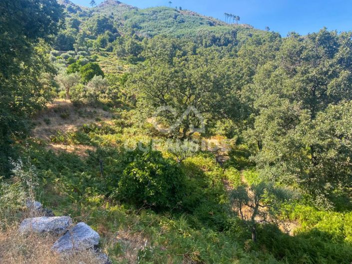 Image No.46-1 Bed House for sale