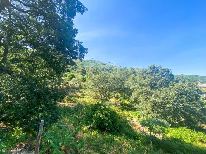 Image No.48-1 Bed House for sale