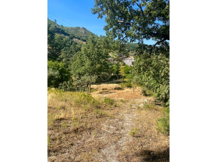 Image No.52-1 Bed House for sale