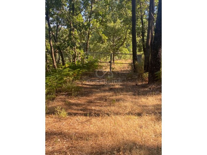 Image No.55-1 Bed House for sale