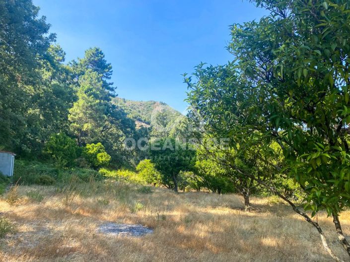 Image No.60-1 Bed House for sale