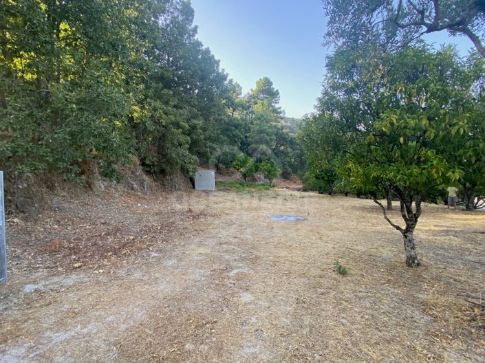 Image No.69-1 Bed House for sale