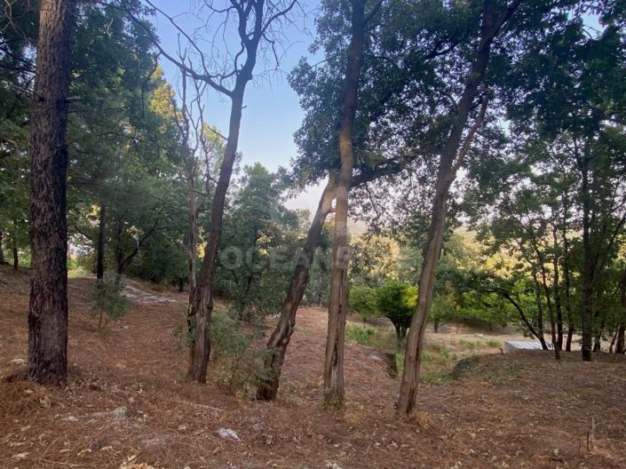 Image No.70-1 Bed House for sale