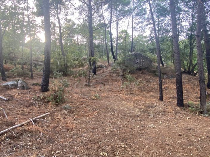 Image No.71-1 Bed House for sale