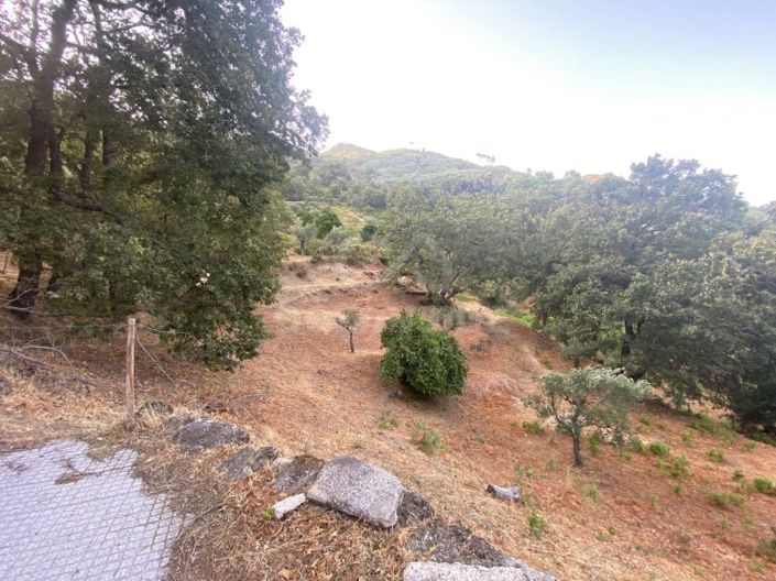 Image No.75-1 Bed House for sale