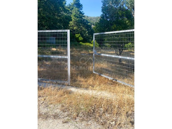 Image No.56-1 Bed House for sale