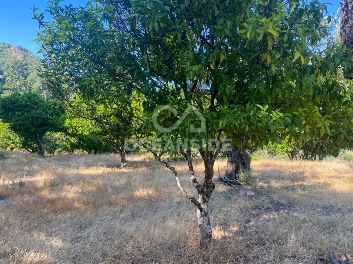 Image No.58-1 Bed House for sale