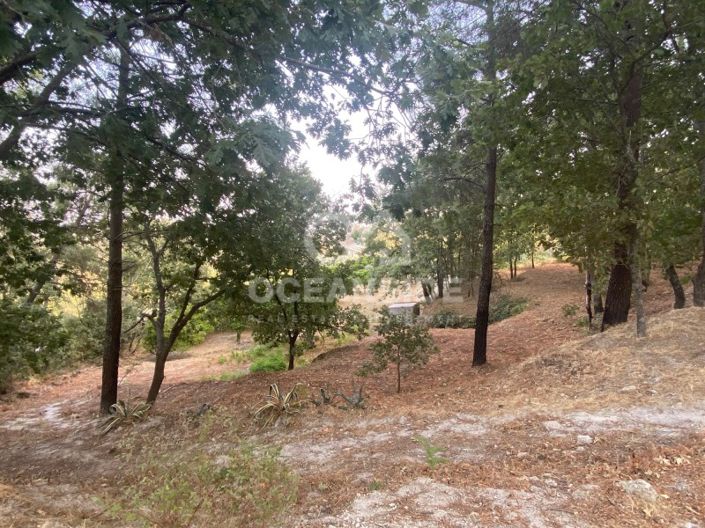 Image No.73-1 Bed House for sale