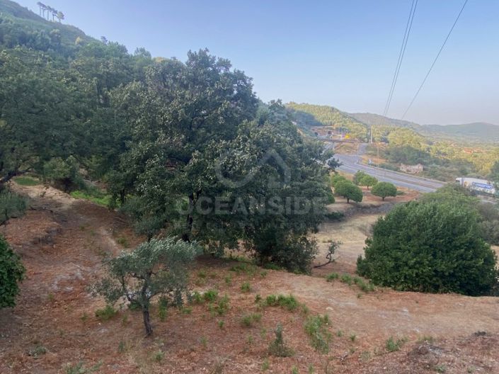 Image No.77-1 Bed House for sale