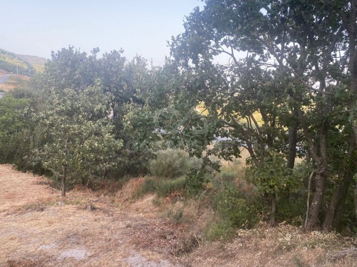 Image No.86-1 Bed House for sale