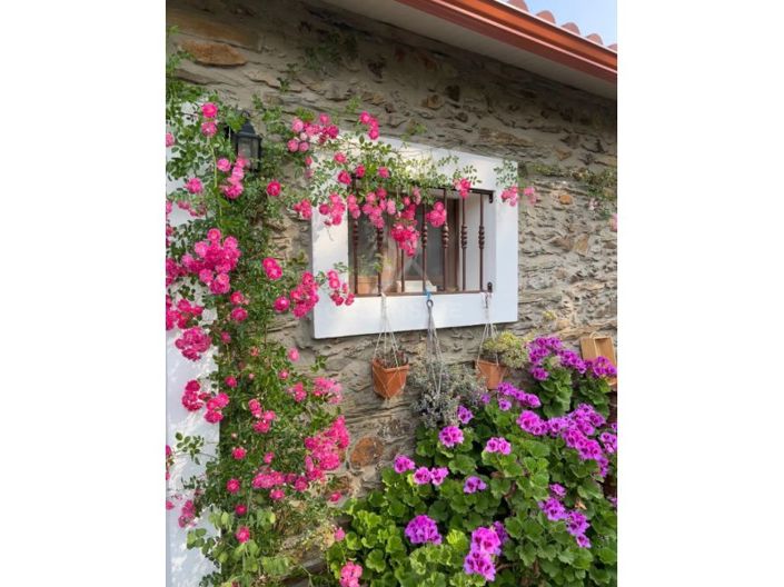 Image No.9-1 Bed Farmhouse for sale