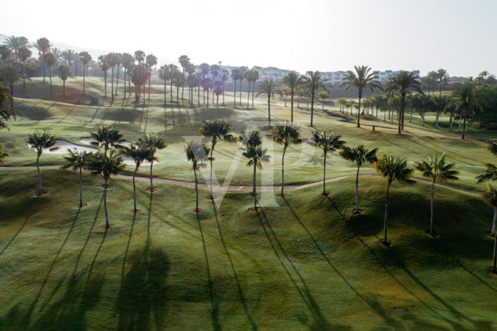 Image No.18-Terre à vendre à Abama