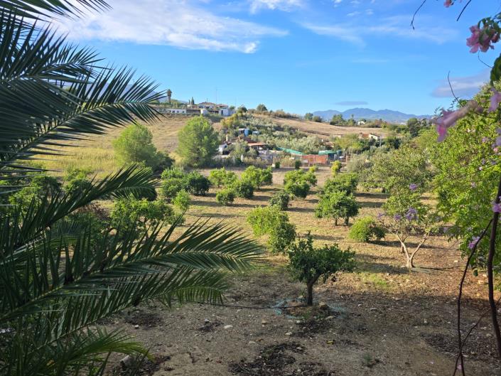 Image No.36-3 Bed Country House for sale