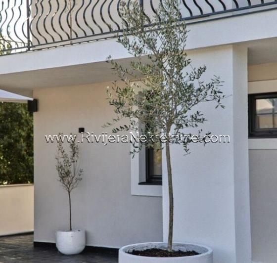 Image No.12-8 Bed Villa for sale