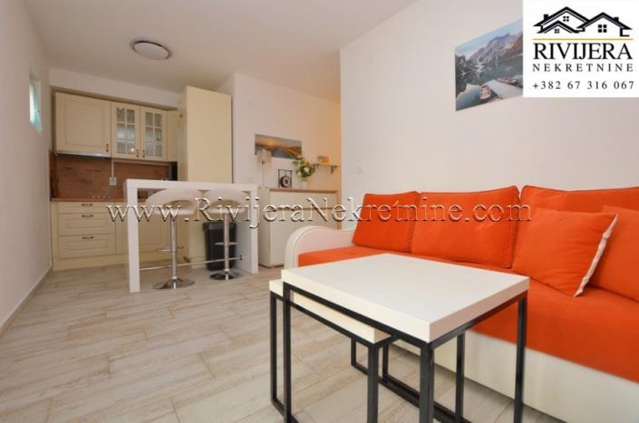 Image No.3-Appartement de 1 chambre à vendre à Bijela