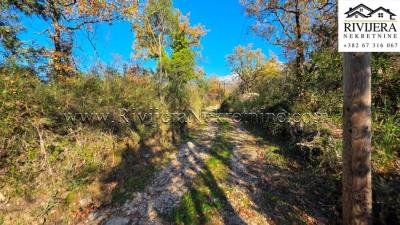 Prodaja_prodaza_rivijera_Nekretnine_Ads_oglasi_Ratisevina_Herceg_Novi_plac_landplot_--3-