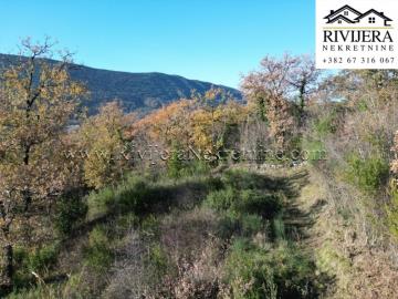 Prodaja_prodaza_rivijera_Nekretnine_Ads_oglasi_Ratisevina_Herceg_Novi_plac_landplot_--7-