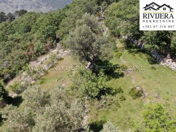 prodaja_Sale_Rivijera_Nekretnine_Ads_oglasi_Plac_Zemlja_Plot_landplot_land_Herceg_Novi_--4-