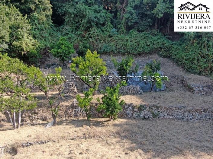 Image No.8-House for sale