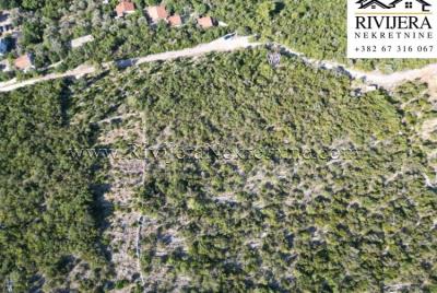 plac_landplot_zemlja_rivijera_Nekretnine_Ads_Ad_oglasi_Tivat_Boka_bay_-2-850x570