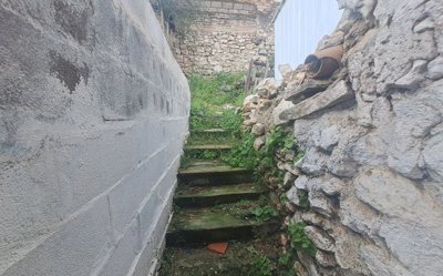 20250312_110525