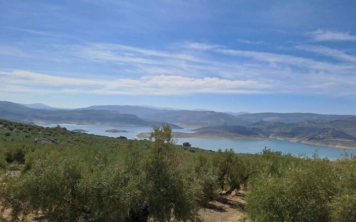 Image No.6-Maison de 4 chambres à vendre à Rute