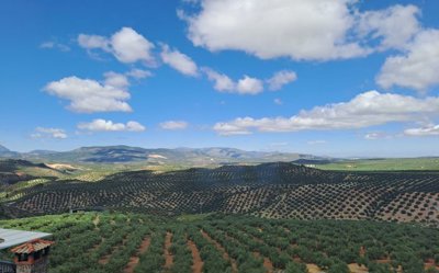 Andalucian Property Sales most sold property
