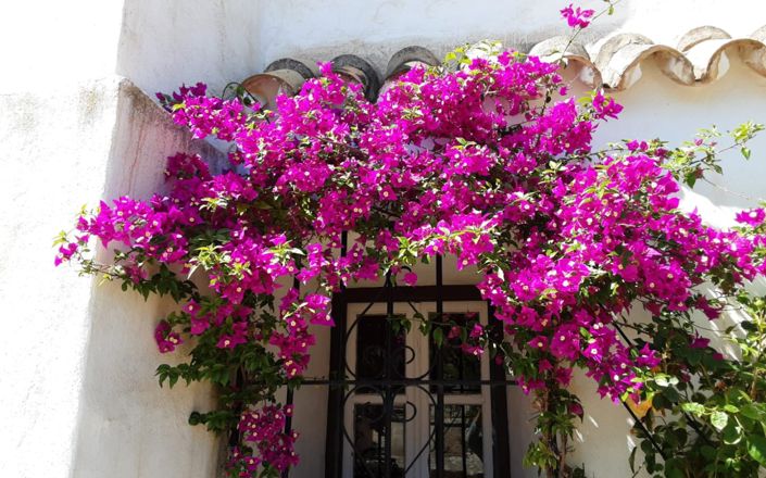 Image No.10-3 Bed House for sale