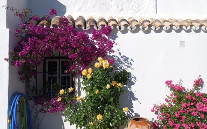 Image No.11-3 Bed House for sale