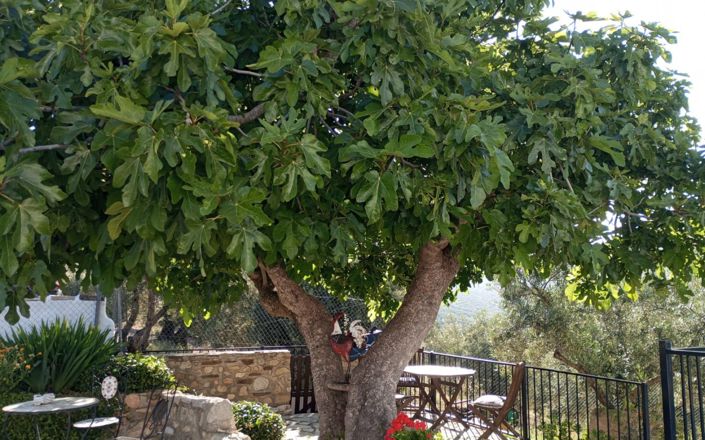 Image No.9-3 Bed House for sale