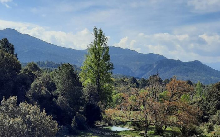 Image No.2-6 Bed House for sale