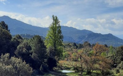 Andalucian Property Sales most sold property
