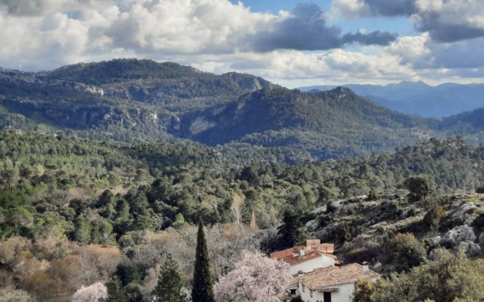 Image No.6-6 Bed House for sale